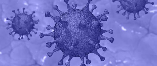 artist rendering of the covid-19 virus