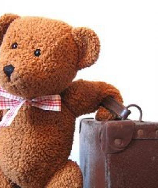 teddy bear with suitcase, ready to travel