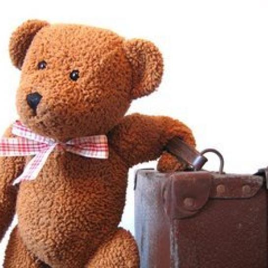 teddy bear with suitcase, ready to travel