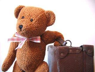 teddy bear with suitcase, ready to travel