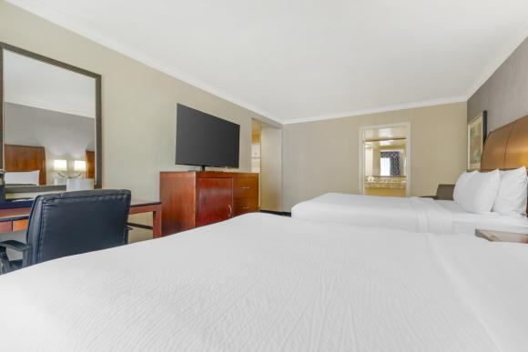 Doheny Suite-Queen/Queen Section