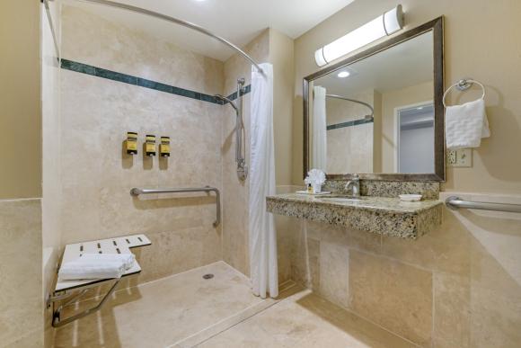 ADA Accessible Roll-In Shower