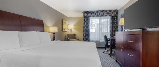 Standard King Guestroom